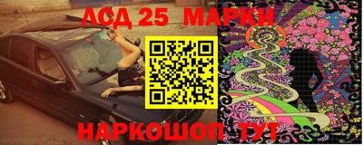 гашик Моздок