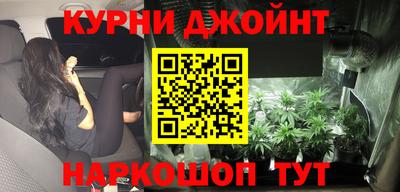 гашик Моздок