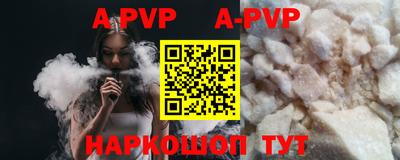 гашик Моздок