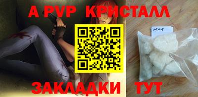 гашик Моздок