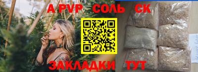 гашик Моздок